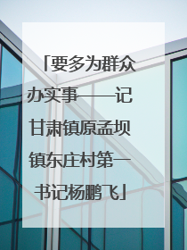 要多为群众办实事——记甘肃镇原孟坝镇东庄村第一书记杨鹏飞